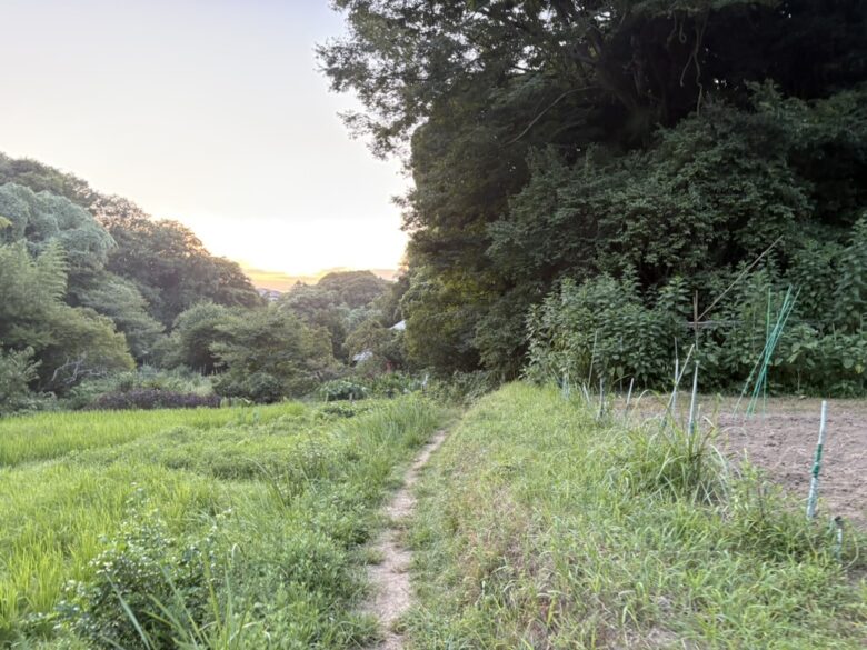 鎌倉広町緑地