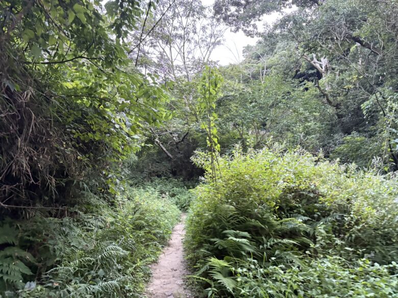 鎌倉広町緑地