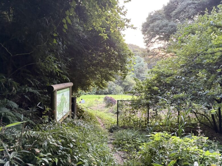 鎌倉広町緑地
