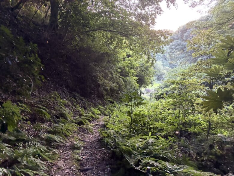 鎌倉広町緑地