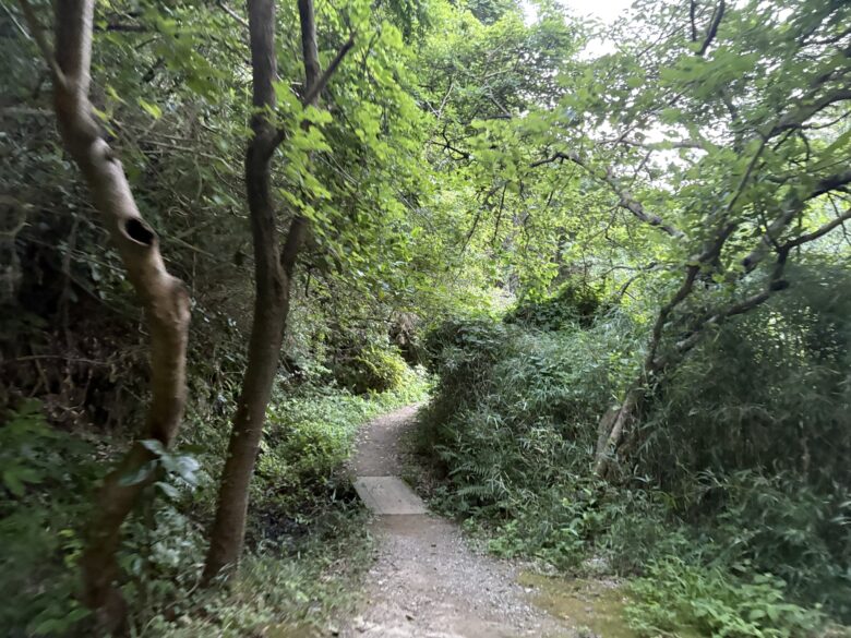 鎌倉広町緑地