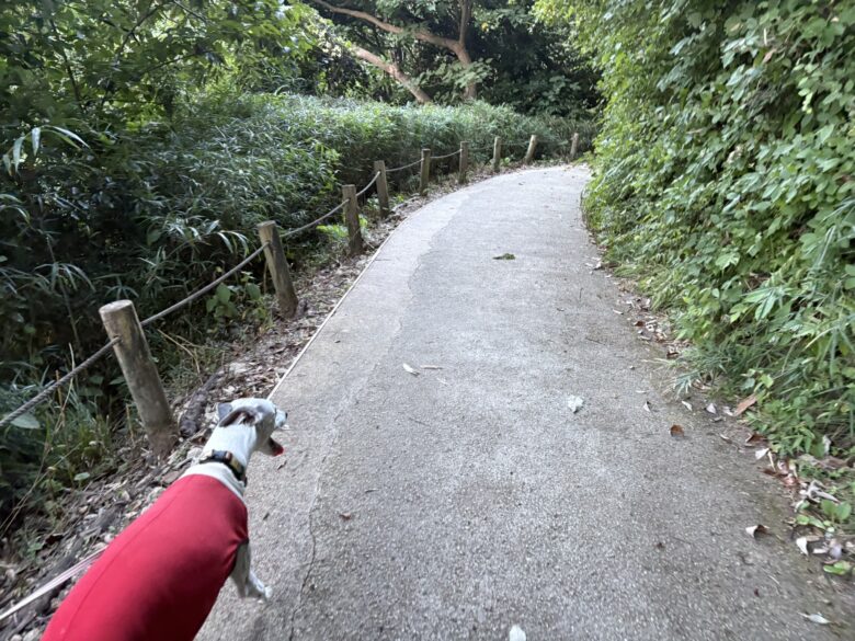 鎌倉広町緑地