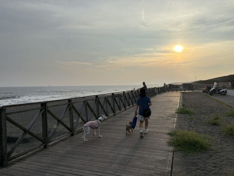 茅ヶ崎汐見台海岸