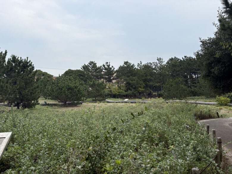 海浜自然生態園