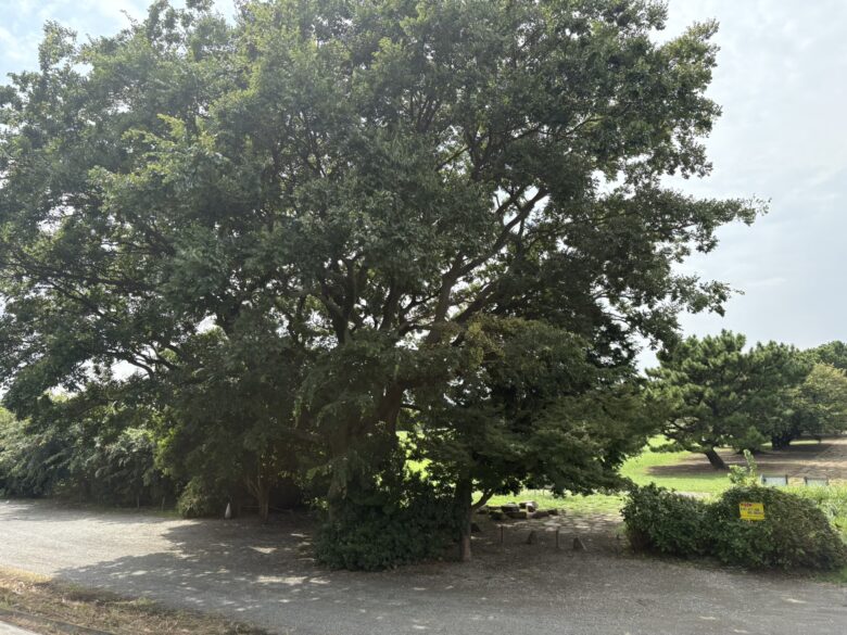川とのふれあい公園