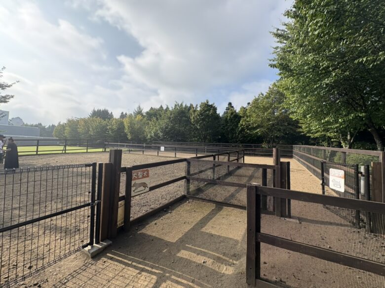 富士山レーダードーム公園ドッグラン