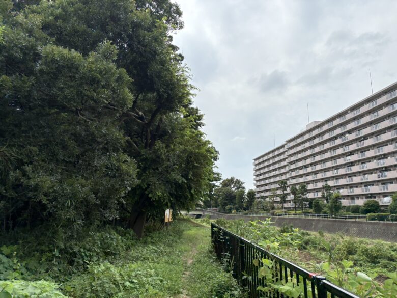 旧目久尻川沿いの緑道