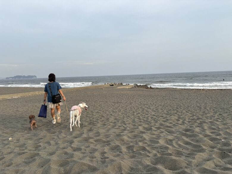 茅ヶ崎汐見台海岸