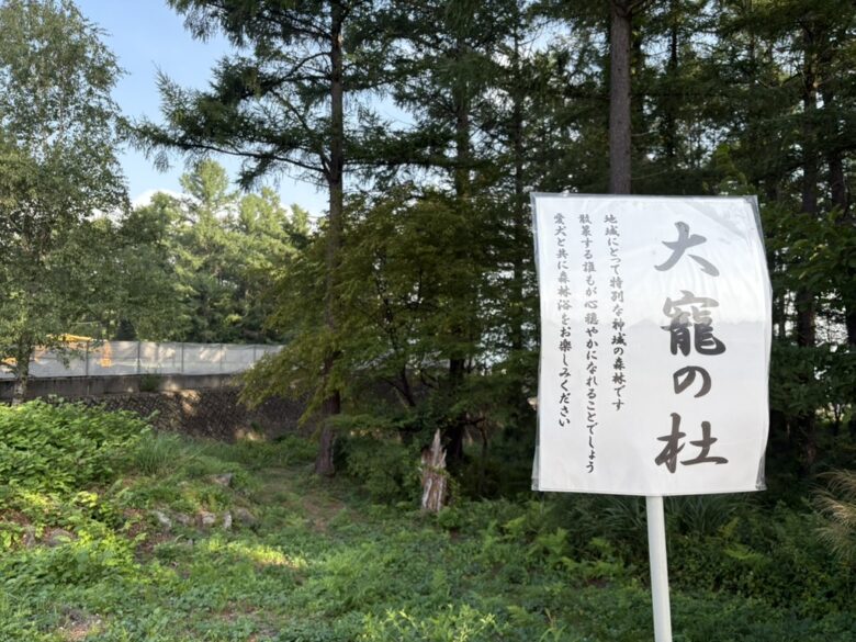 大寵の社