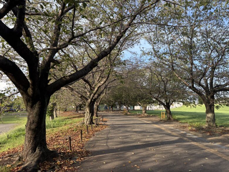 さむかわ中央公園