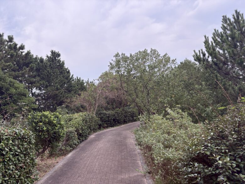 海浜自然生態園