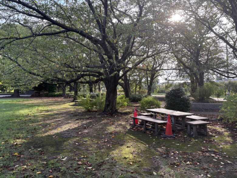 一之宮公園 かながわの公園50選