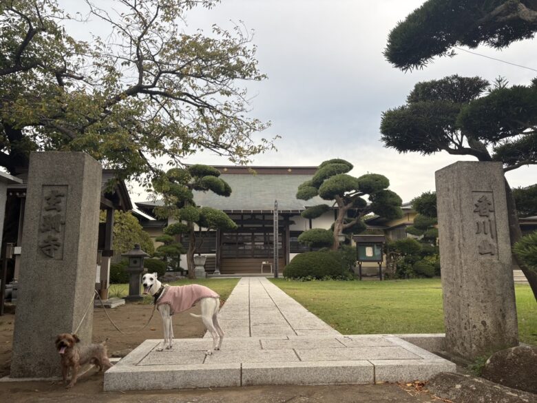 玄珊寺