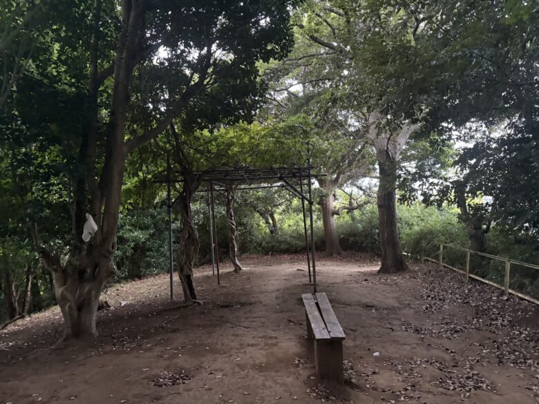 殿山公園