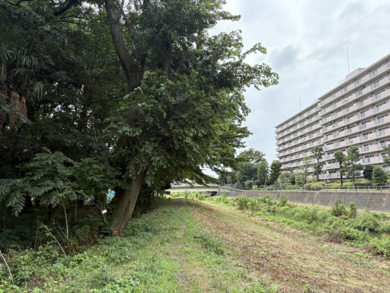 自然観察の森