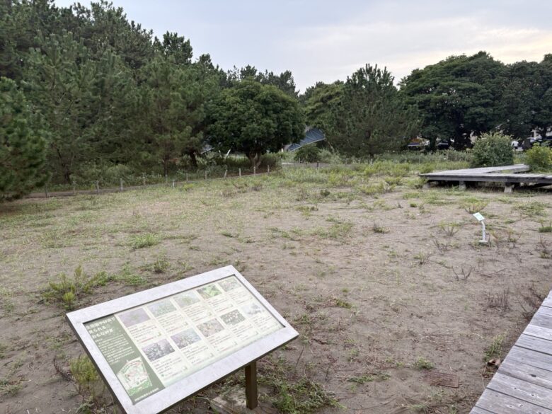 海浜自然生態園
