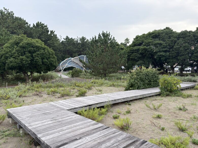 海浜自然生態園