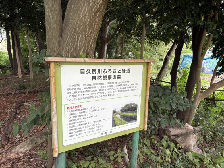 自然観察の森