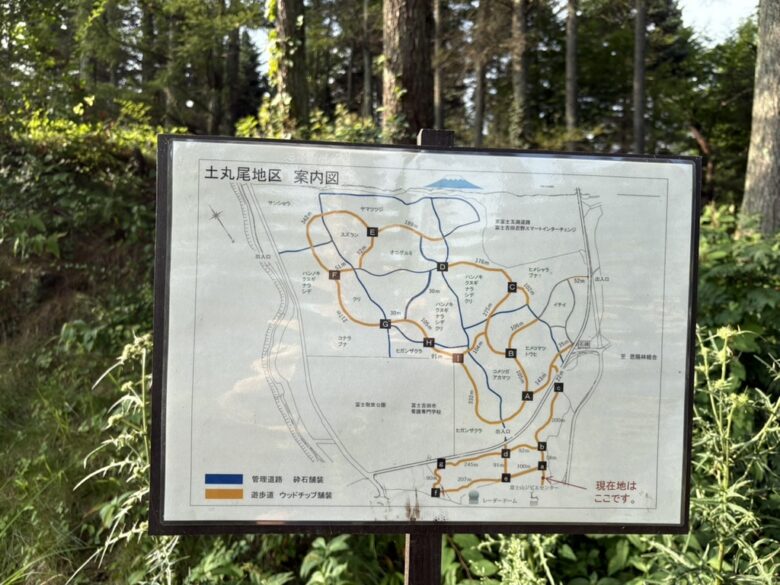 恩賜林散策自然遊歩道