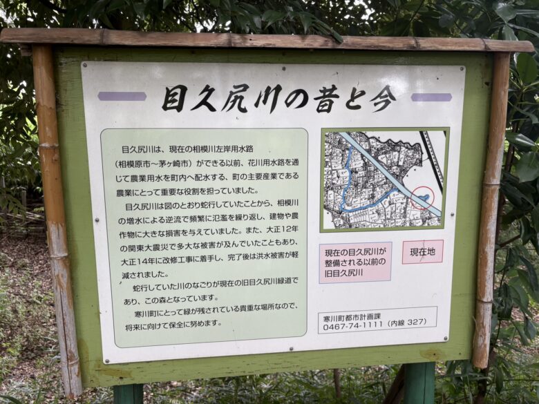 自然観察の森