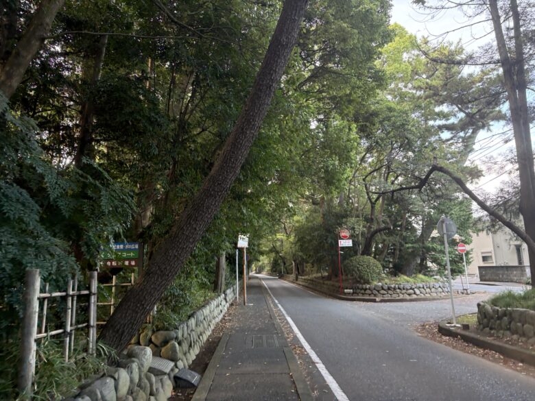 寒川神社参道