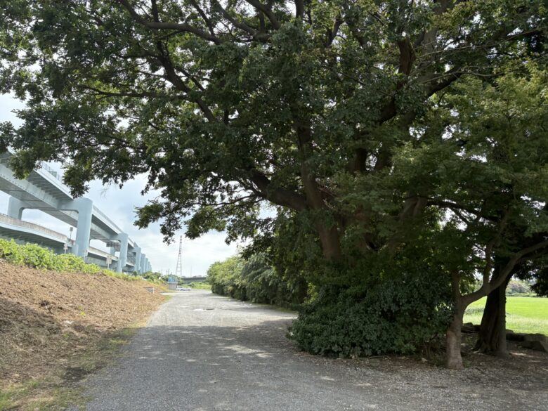 川とのふれあい公園