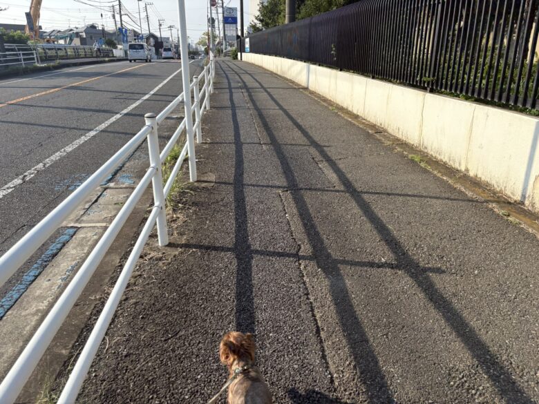 茅ヶ崎中央通り