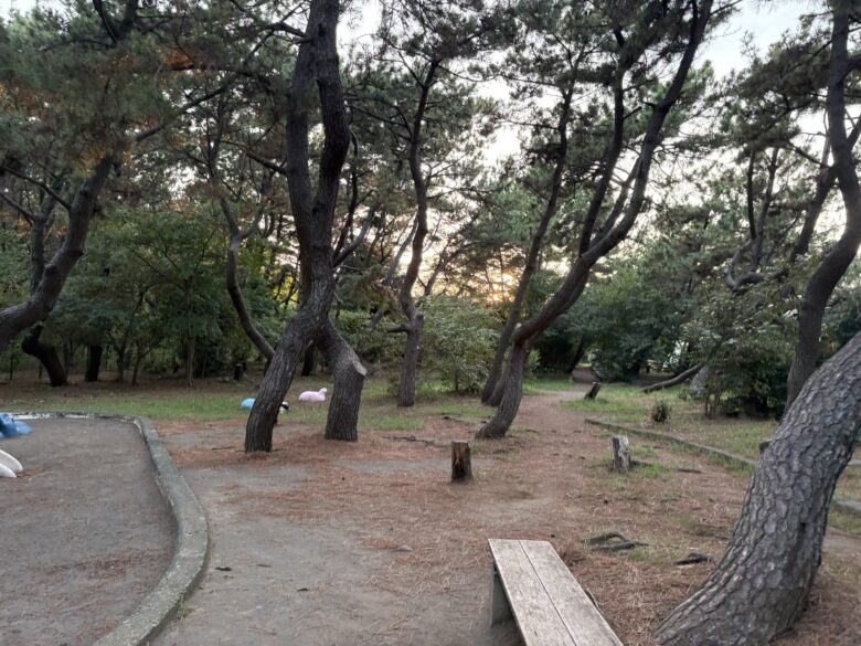 茅ヶ崎市立小和田浜公園