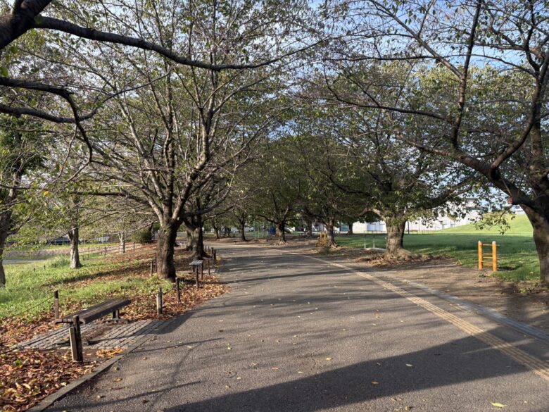 さむかわ中央公園