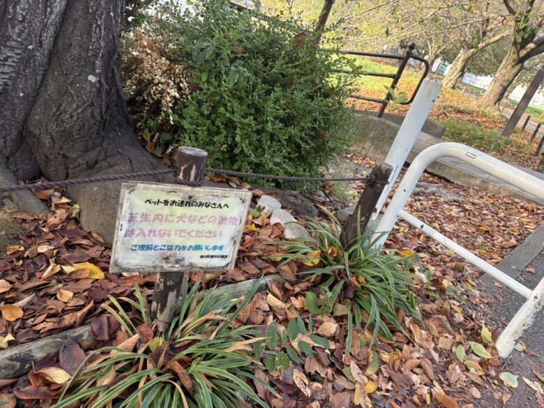 さむかわ中央公園
