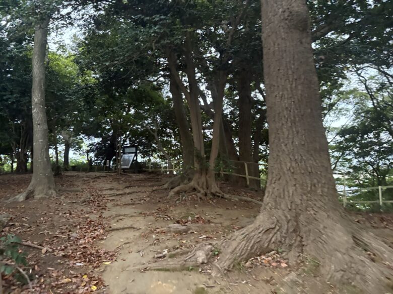 殿山公園