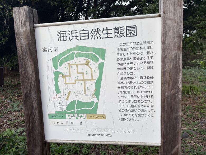 海浜自然生態園