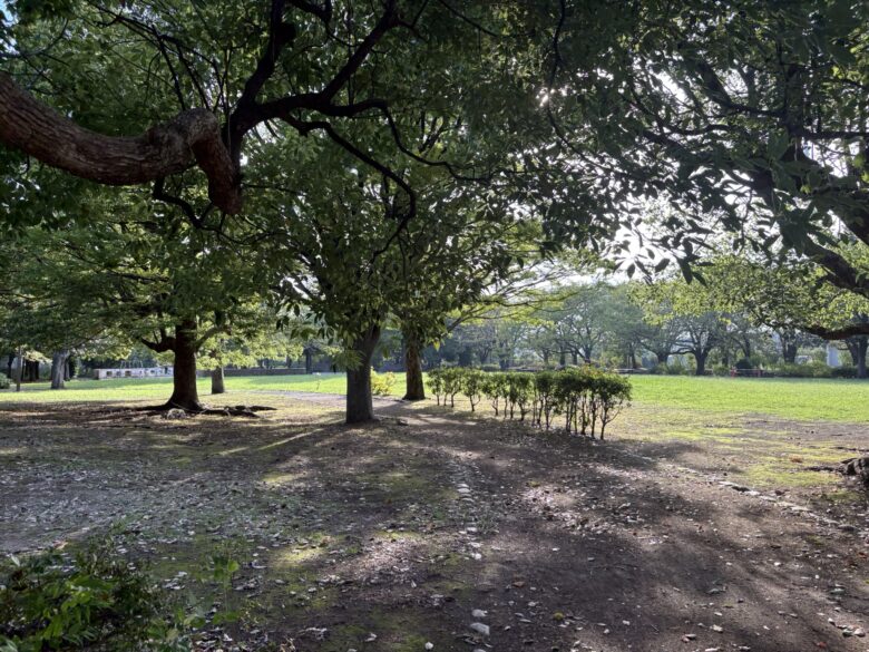 一之宮公園 かながわの公園50選