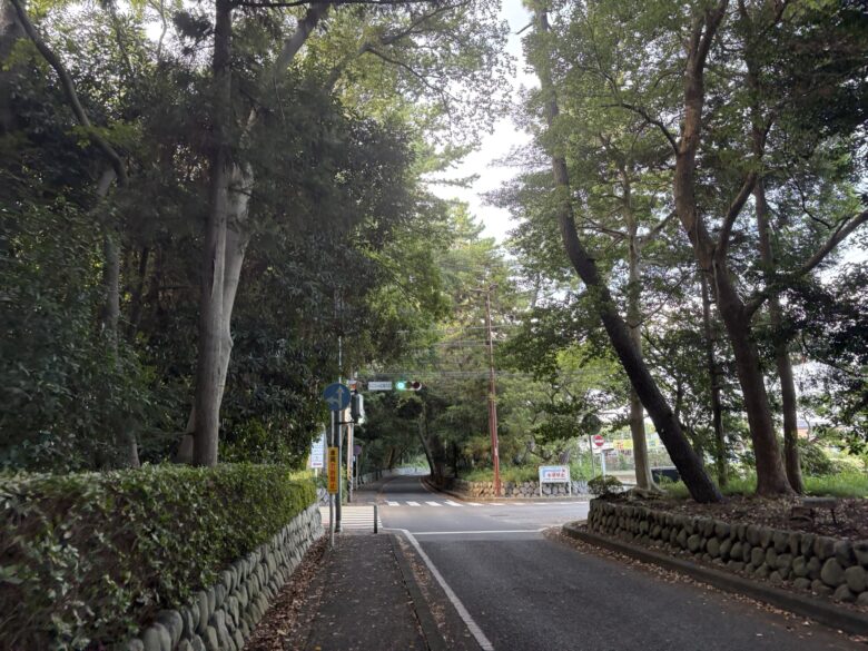 寒川神社参道