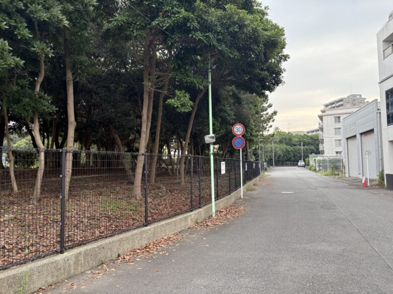 海浜自然生態園