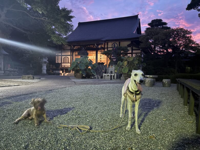 大岡越前守菩提所・浄見寺