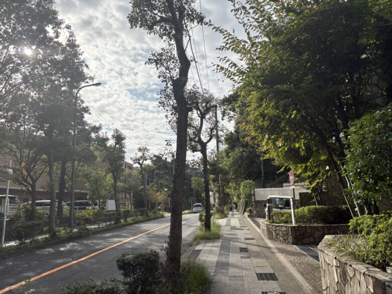 市役所通り