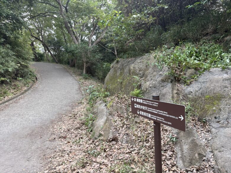 源氏山公園