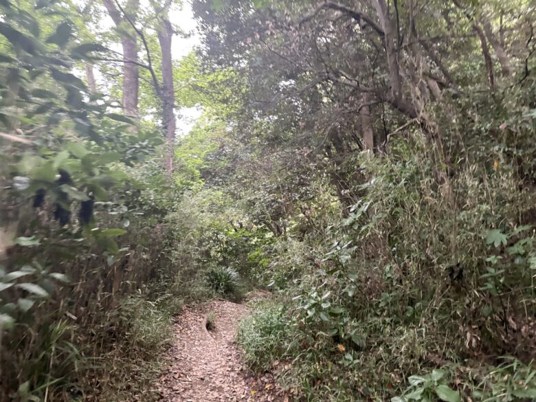 源氏山公園