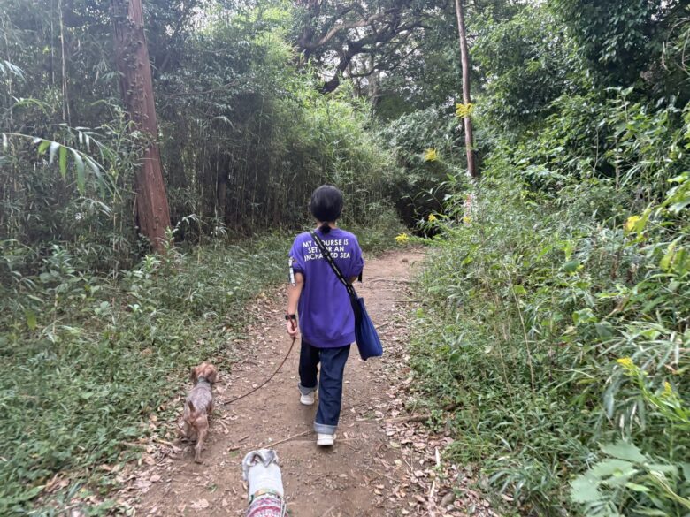 源氏山公園