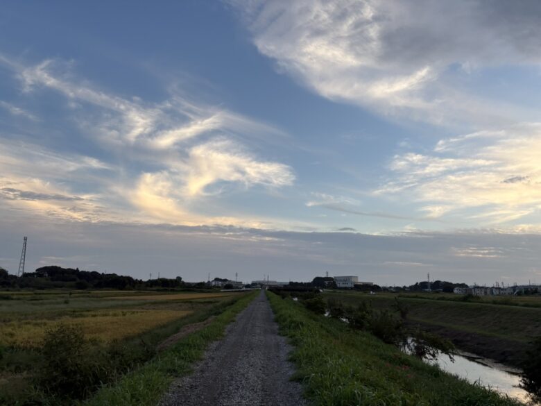 目久尻川沿い