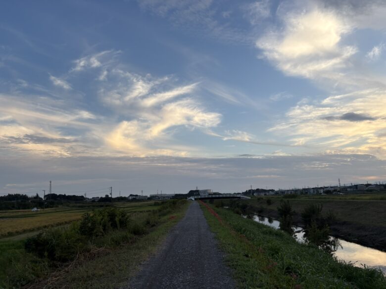 目久尻川沿い