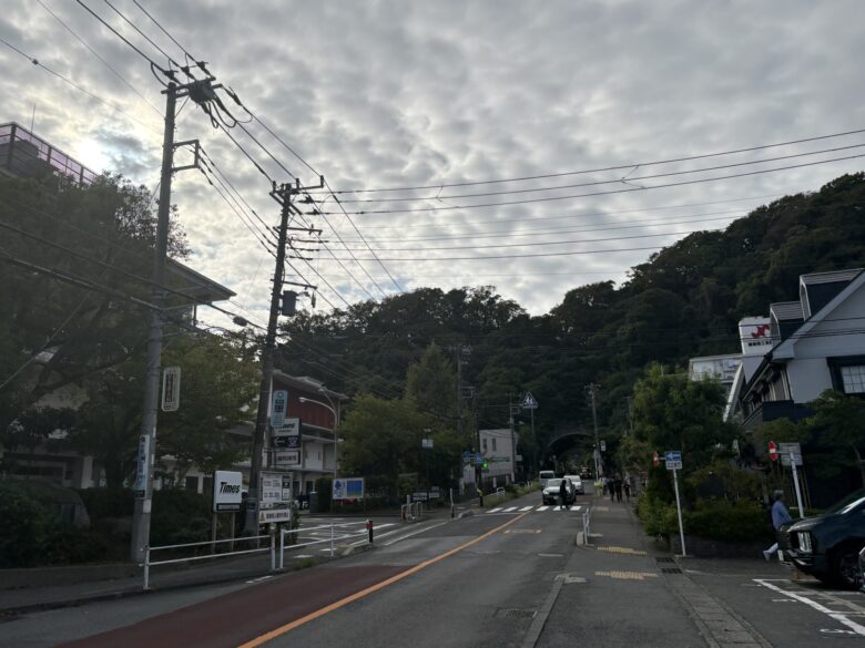 市役所通り