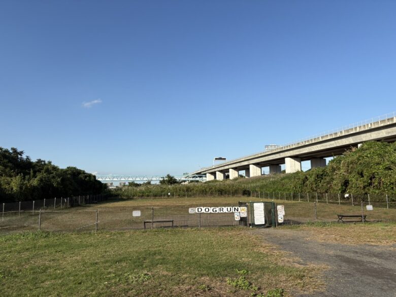 ドッグラン（中野多目的広場）