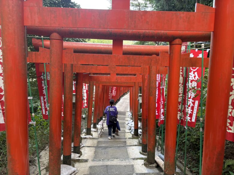 佐助稲荷神社