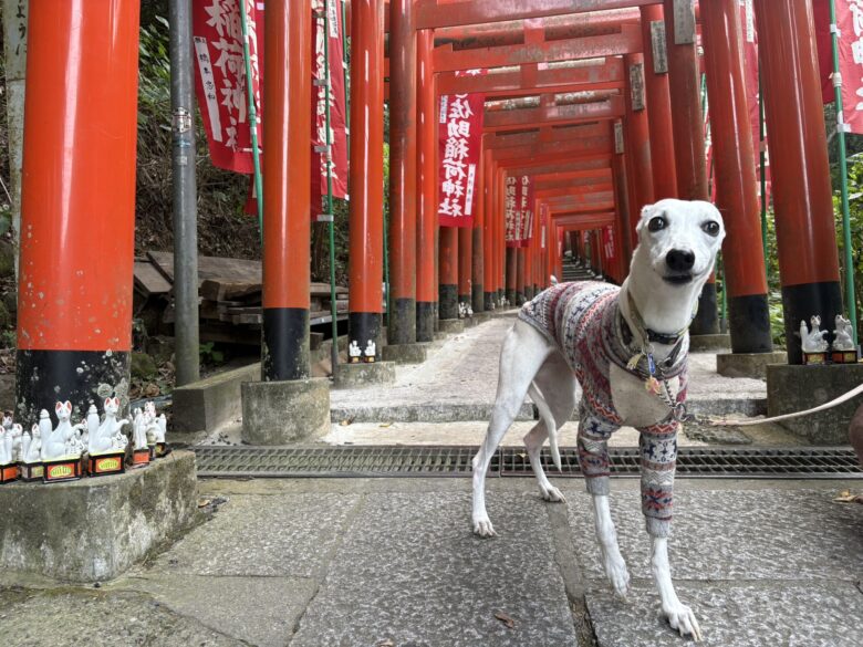 佐助稲荷神社