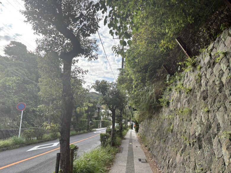市役所通り