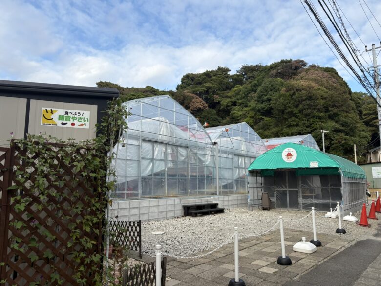 鎌倉いちごファーム