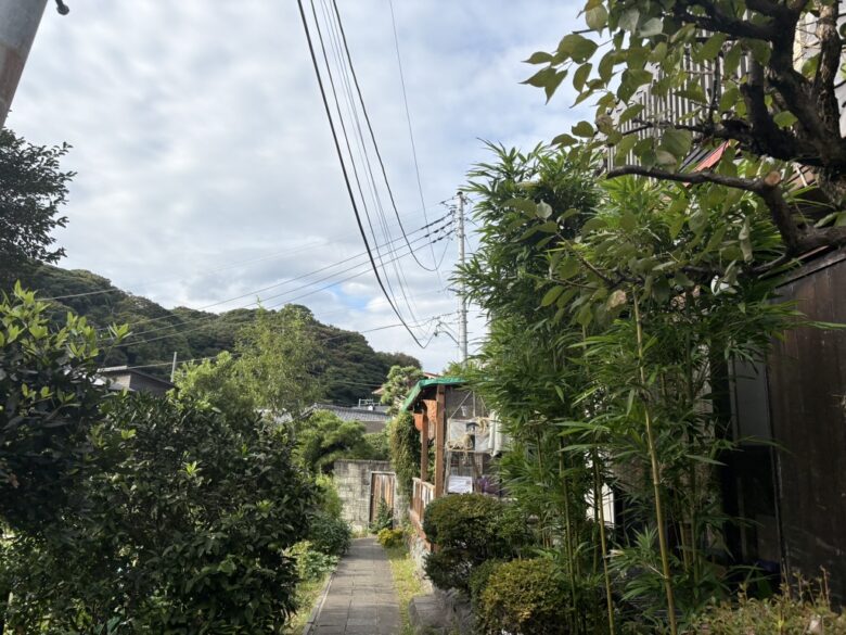 福来鳥