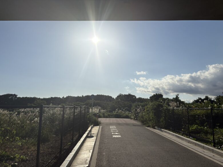 相模川